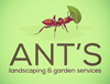 Ants gardening London